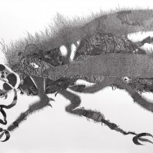 南花奈/Kana Minami　《女王蜂/queen bee》　2014,　72.8x103cm,　ink on paper